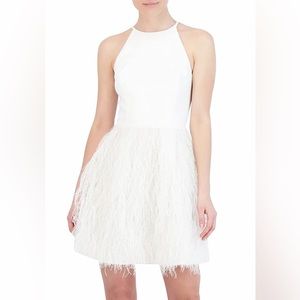 BCBGMAXAZRIA dress with feathers
